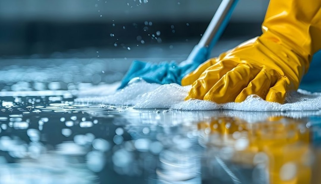 How to Choose a Reliable Cleaning Service in South Africa