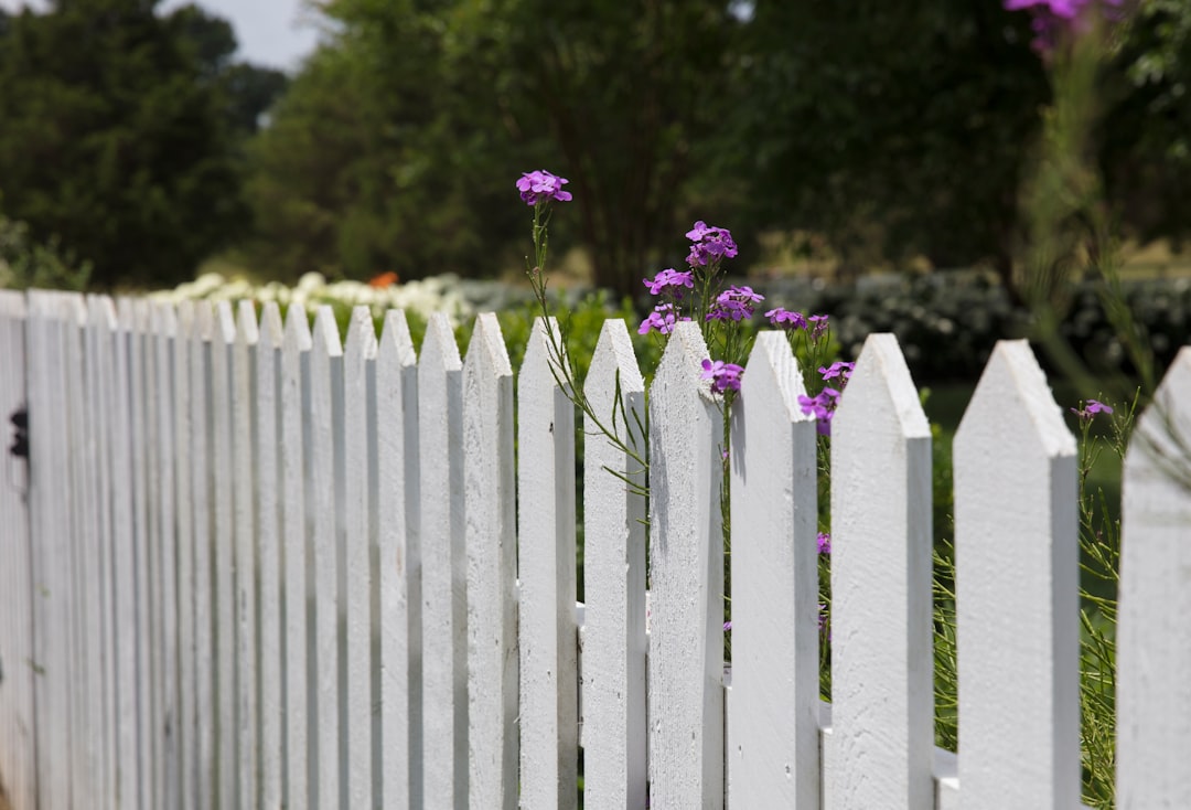 How to Choose a Fencing Contractor in South Africa