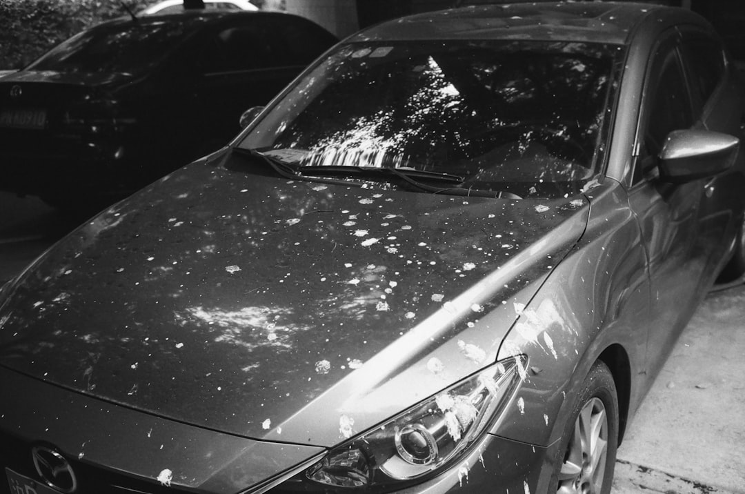 How to Deal With Hail Damage to Your Car in South Africa