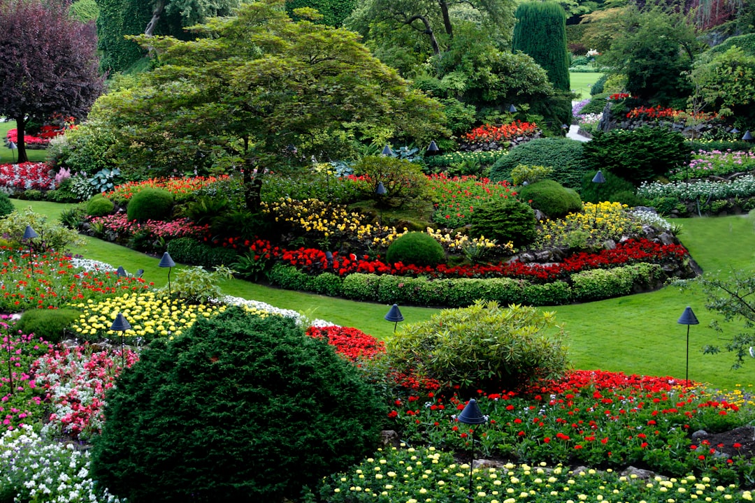 How to Find a Reliable Garden and Landscaping Service