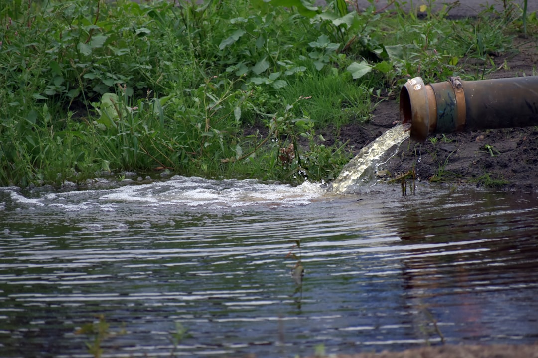 How to Handle Sewage Overflow at Your Home in South Africa