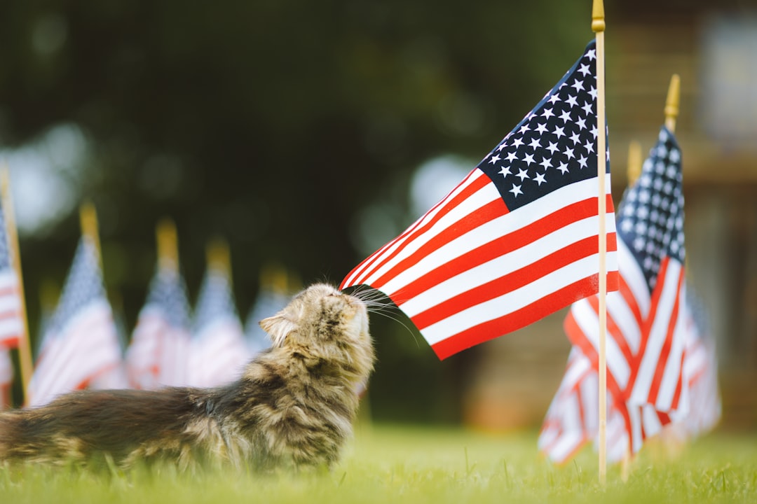 Red Flags When Choosing a Vet in South Africa