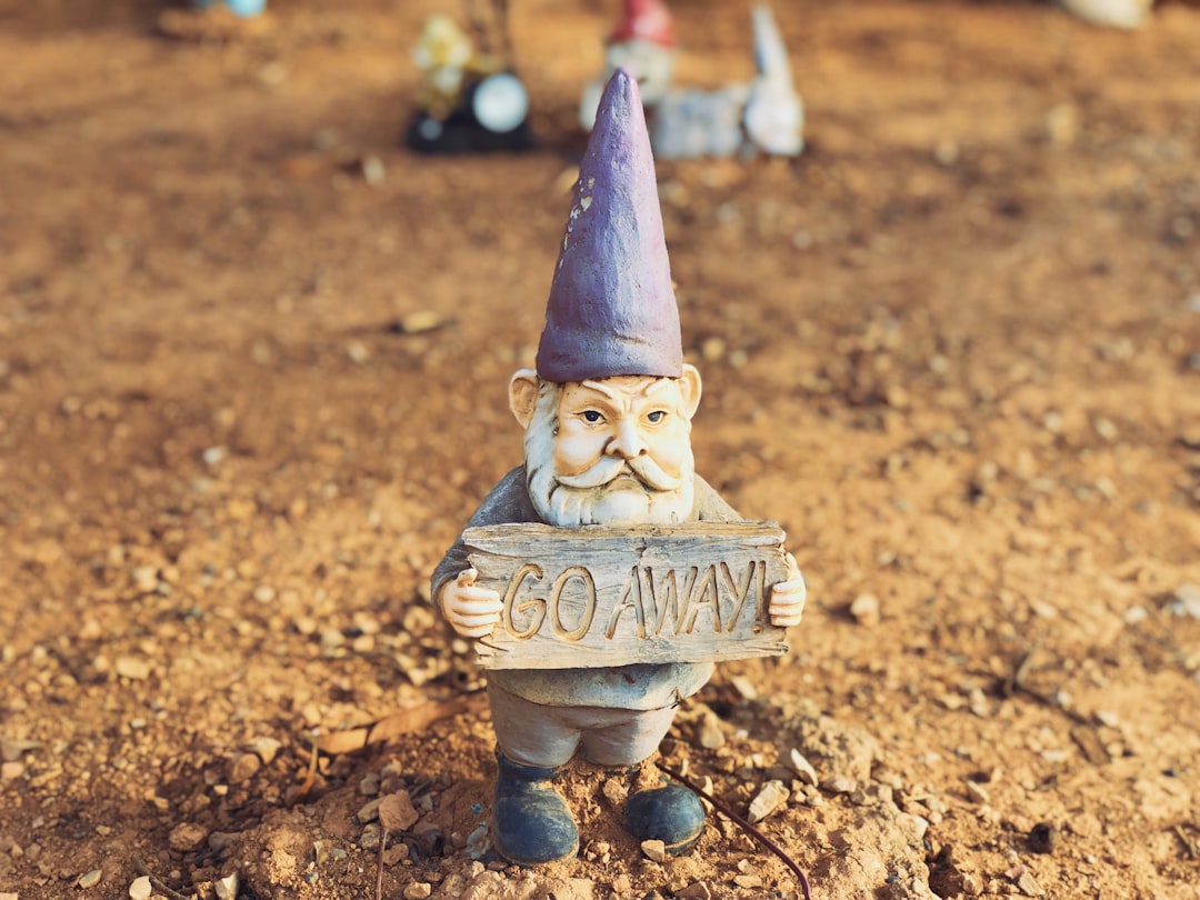 Warning Signs of a Bad Garden Service in South Africa