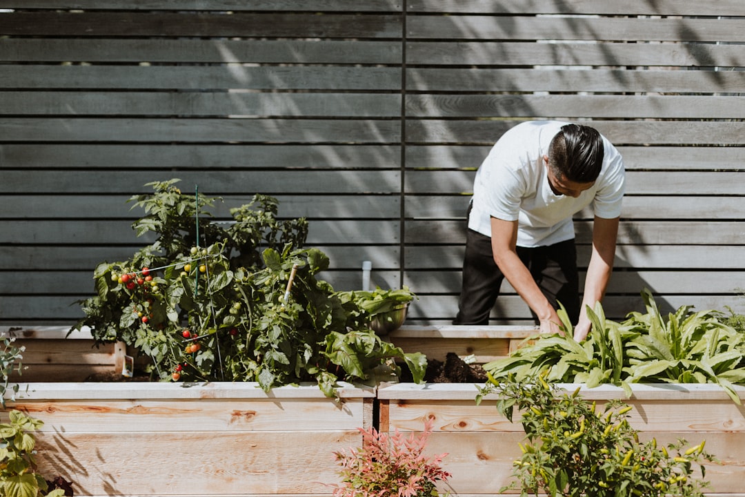 What a Garden Service Should Cost in South Africa in 2026