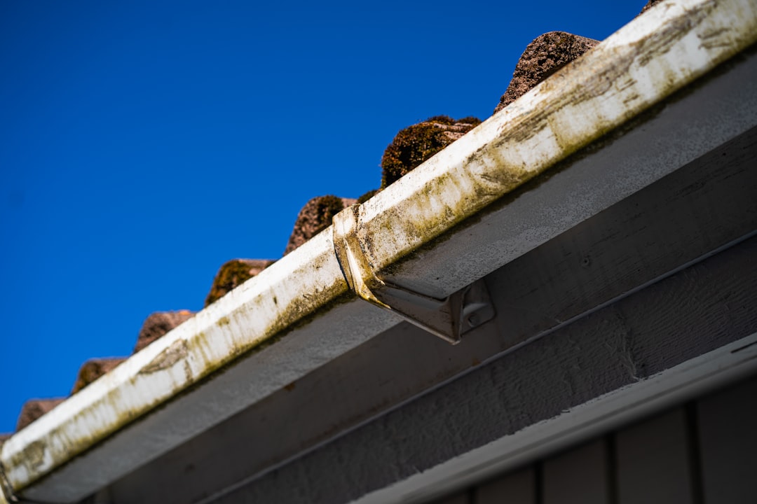 What Gutter Cleaning and Replacement Should Cost in South Africa in 2026