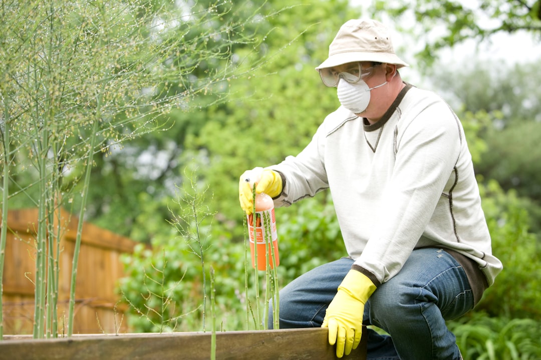 What Pest Control Should Cost in South Africa in 2026