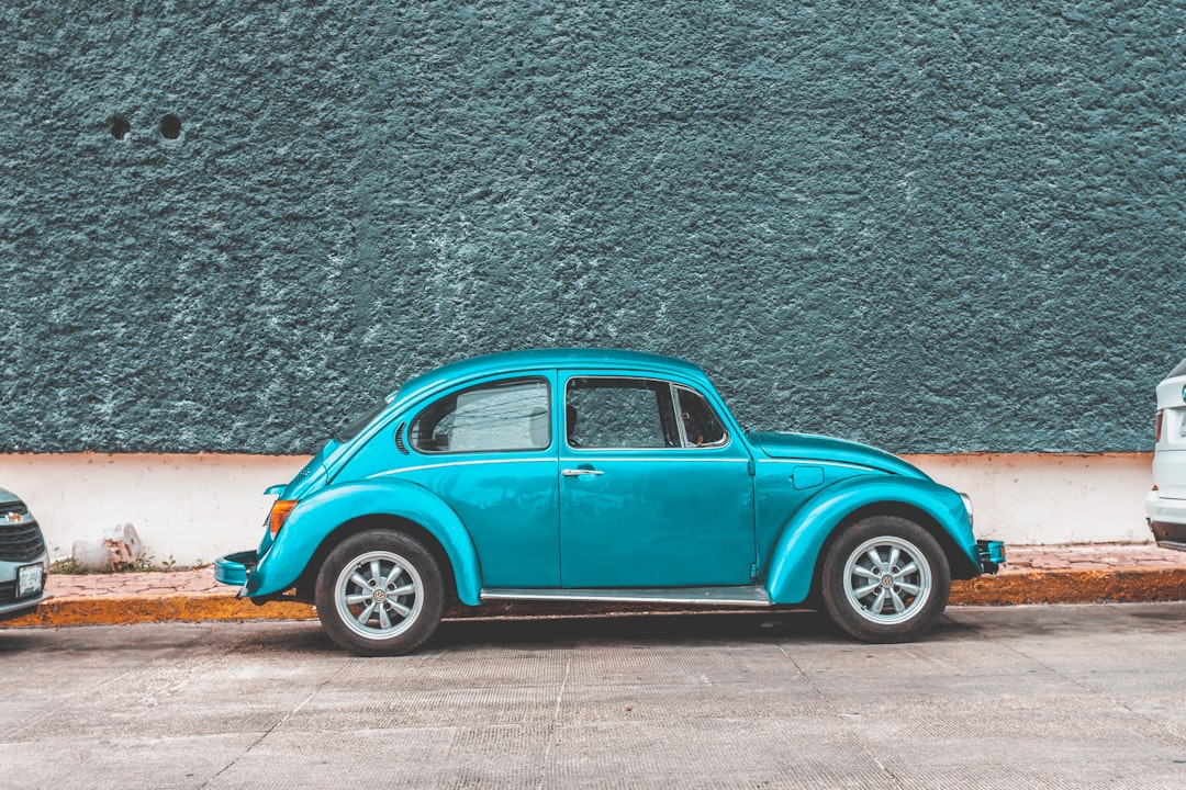 What to Know Before Renting a Car in South Africa