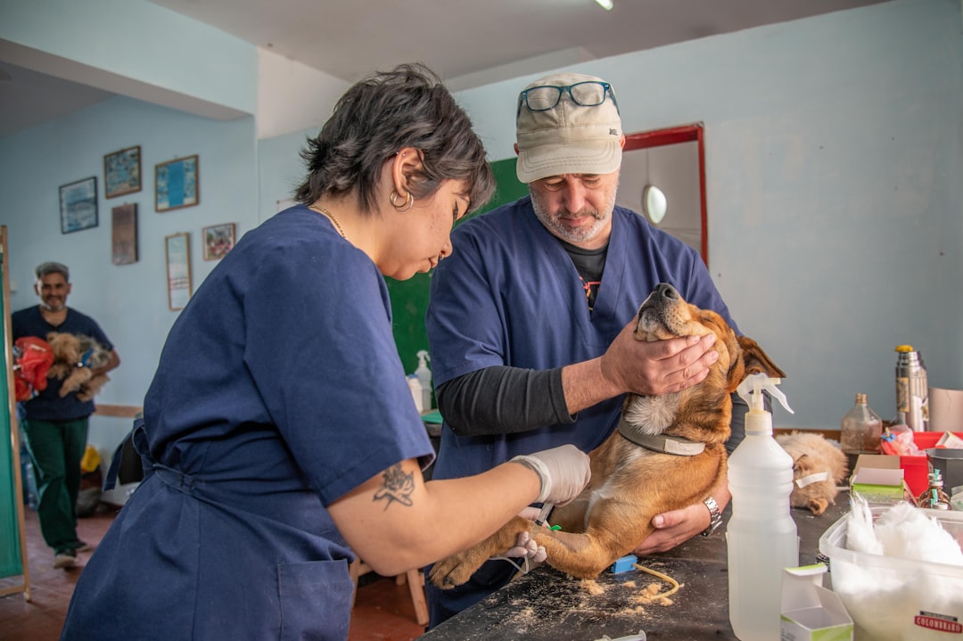 What Vaccinations Your Dog Needs in South Africa