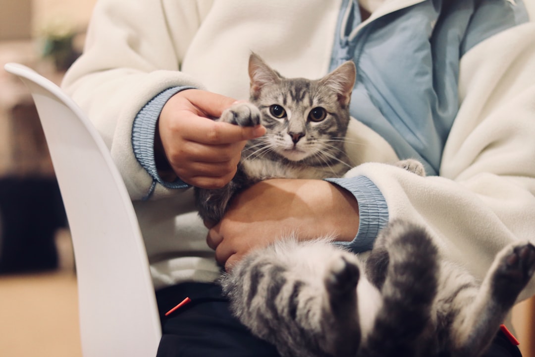 What a Vet Visit Should Cost in South Africa in 2026